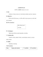 Giáo án Tiếng anh lớp 3 - LESSON PLAN UNIT 8: AGES / Section A (1,2,3) pps