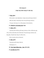 Mỹ thuật lớp 4 - Vẽ trang trí chép hoạ tiết trang trí dân tộc pps