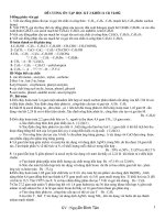 Đề cương ôn thi hết học kì 2lớp 11 cực hay !