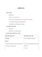 Tự nhiên xã hội lớp 1 - CON CÁ ppsx