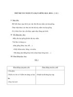 Kỹ thuật lớp 4 - THỬ ĐỘ NẢY MẦM CỦA HẠT GIỐNG RAU, HOA (2 tiết ) ppsx