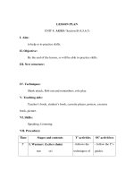 Giáo án Tiếng anh lớp 3 - LESSON PLAN UNIT 8: AGES / Section B (4,5,6,7) pptx