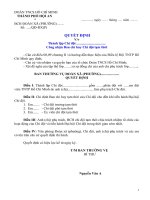 mẫu quyết định thành lập chi đội + công nhân BCH chi đội