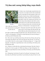 Trị đau mỏi xương khớp bằng rượu thuốc pdf