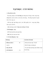 Giáo án Tiếng Việt lớp 1 - TẬP ĐỌC: CÂY BÀNG ppsx