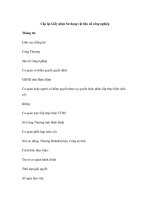 Cấp lại Giấy phép Sử dụng vật liệu nổ công nghiệp docx