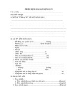 PHIẾU ĐỊNH GIÁ BẤT ĐỘNG SẢN pps