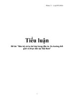 Đề tài: ”Bảo hộ và tự do hóa trong đầu tư. Xu hướng thế giới và thực tiễn tại Việt Nam