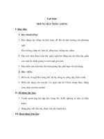 Tiếng Việt lớp 4 - TẬP ĐỌC - NHỮNG HẠT THÓC GIỐNG pps