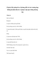 Cấp lại Giấy phép lái xe bị hỏng (đối với các trường hợp không bị đánh dấu do vi phạm Luật giao thông đường bộ) potx