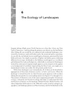 Perlman - Practical Ecology for Planners, Developers and Citizens - Chapter 6 pdf