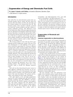 Cogeneration of Energy and Chemicals: Fuel Cells pps