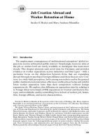 The Analysis of Firms and Employees Part 10 ppsx