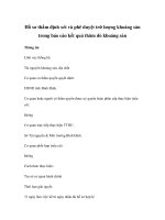 Hồ sơ thẩm định xét và phê duyệt trữ lượng khoáng sản trong báo cáo kết quả thăm dò khoáng sản potx