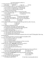 câu hỏi ôn tập chương 4 phần 5