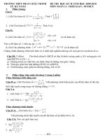 Đê ĐA Toán 11HKII Phan Châu Trinh Đà Nẵng