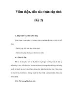 Viêm thận, tiểu cầu thận cấp tính (Kỳ 2) pps