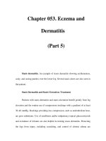 Chapter 053. Eczema and Dermatitis (Part 5) docx