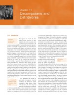 From Individuals to Ecosystems 4th Edition - Chapter 11 ppt