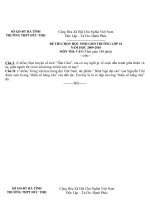 DE THI VA DÁP ÁN CHỌN HSG VĂN 10