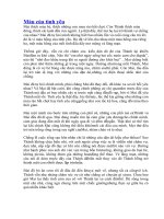 Màu của tình yêu