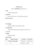 Giáo án Tiếng anh lớp 3 - LESSON PLAN UNIT 11: OUR PETS / Section B (4,5,6,7) pdf