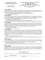 Đề HSG Hóa học 9 - Bắc Ninh 2010