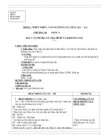 GIÁO ÁN ĐỊA 8 KÍ 1(09-10)