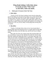 Tổng thuật những ý kiến khác nhau về truyện cổ tích tấm cám, tính dị bản và ý kiến cá nhân