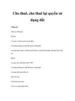 Cho thuê, cho thuê lại quyền sử dụng đất pdf
