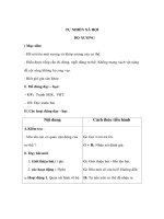 Giáo án TNXH lớp 3 - BỘ XƯƠNG pdf