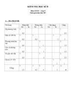 Đề thi HK II toán 9 (có đáp án +ma trận)