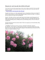 Hàng loạt cây xanh trong nhà chứa chất độc chết người ppsx