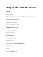 Đăng ký điều chỉnh dự án đầu tư doc