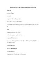 Đổi Giấy phép lái xe cho du khách du lịch lái xe vào Việt Nam docx