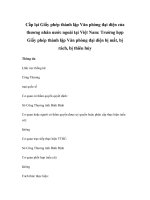 Cấp lại Giấy phép thành lập Văn phòng đại diện của thương nhân nước ngoài tại Việt Nam: Trường hợp Giấy phép thành lập Văn phòng đại diện bị mất, bị rách, bị thiêu hủy pps