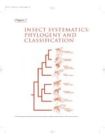 The Insects - Outline of Entomology 3th Edition - Chapter 7 pdf