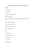 Cấp Giấy phép hoạt động bán lẻ điện nông thôn tại địa phương ppt