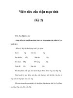 Viêm tiểu cầu thận mạn tính (Kỳ 2) pdf