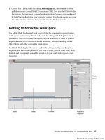 Adobe Flash chuyên nghiệp - p 3 potx