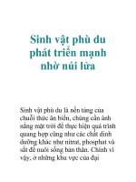 Sinh vật phù du phát triển mạnh nhờ núi lửa pdf