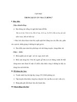 Tiếng Việt lớp 4 - TẬP ĐỌC - TRONG QUÁN ĂN “BA CÁ BỐNG” pdf