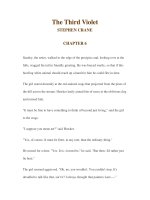 The Third Violet STEPHEN CRANE CHAPTER 6 pps