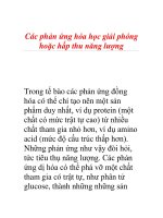 Các phản ứng hóa học giải phóng hoặc hấp thu năng lượng pot