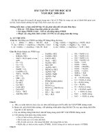 Đề cương ôn thi HK 2 Khối 10 (kungfu)