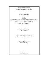 xác định lượng co2 hấp thụ của rừng lồ ô ( bambusa procure a.chev et a.cam) vùng tây nguyên