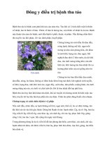 Đông y điều trị bệnh thu táo pps