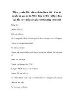 Thẩm tra cấp Giấy chứng nhận đầu tư đối với dự án đầu tư có quy mô từ 300 tỷ đồng trở lên và thuộc lĩnh vực đầu tư có điều kiện gắn với thành lập chi nhánh pps