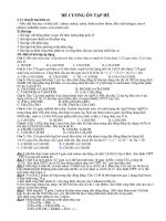 ôn tập hè lớp 11