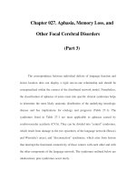 Chapter 027. Aphasia, Memory Loss, and Other Focal Cerebral Disorders (Part 3) pot